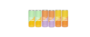 6 Pack Favorites Kombucha, 12 oz cans